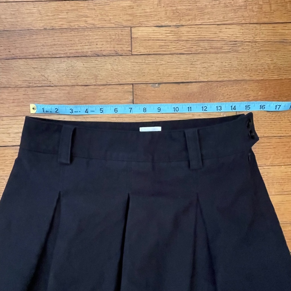 Wilfred Free Rodeo Skirt Pleated Mini - Picture 5 of 9